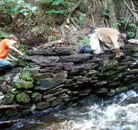 Dégagement de la structure 3B, Moulin Thompson